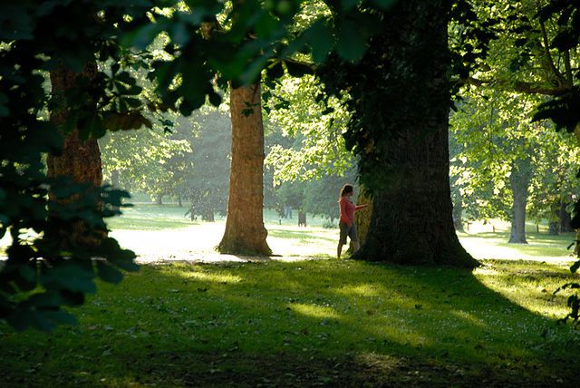 Czy spacer wśród drzew wspomaga radioterapię?