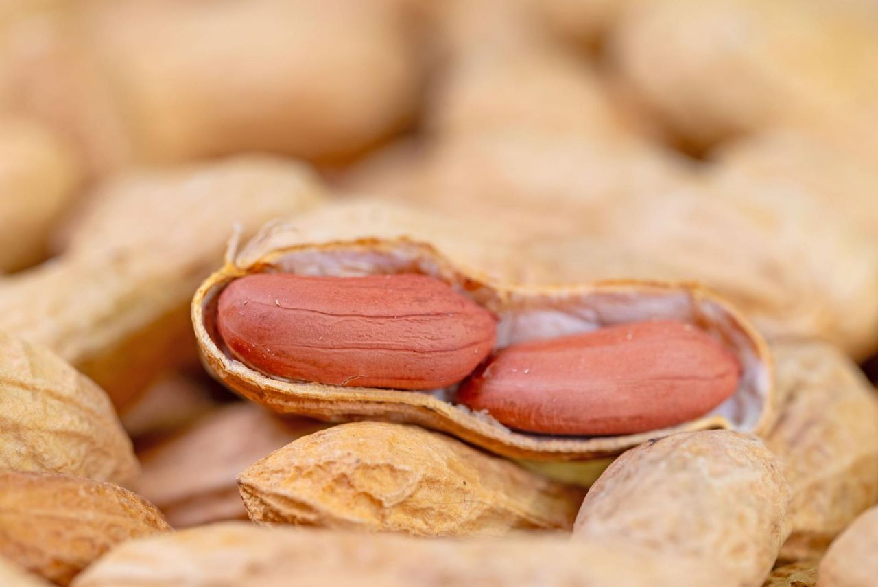 Popularna przekąska zbawienna dla mózgu. Naukowcy potwierdzają