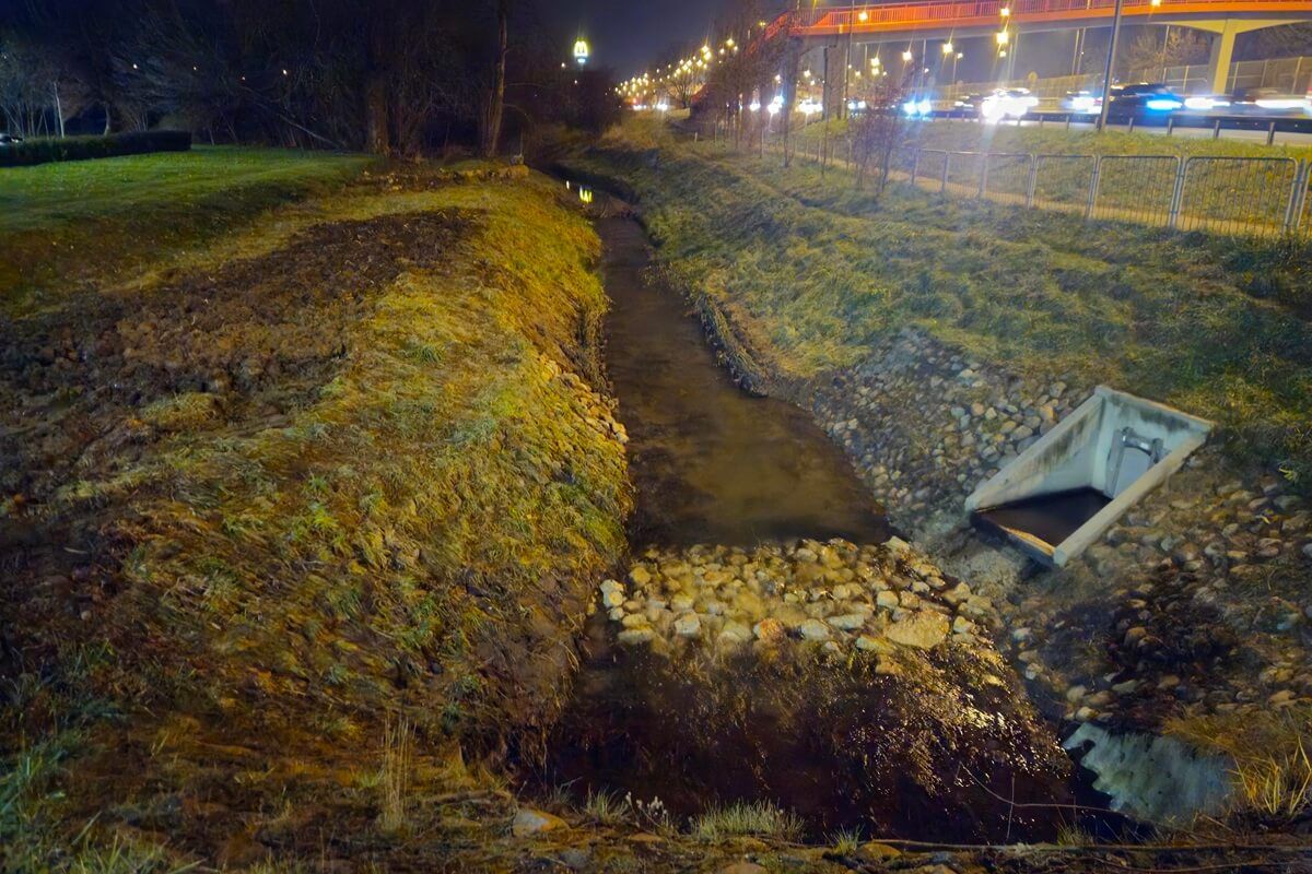 Czechówka bez tamy bobrów