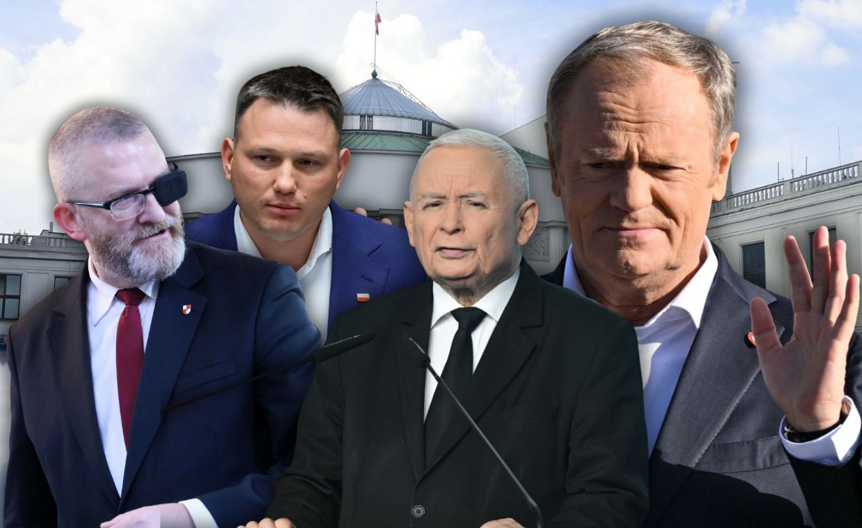 wiadomości,aktualności,WP Wiadomości Potrzebują Brauna, aby rządzić? Mamy najnowszy sondaż