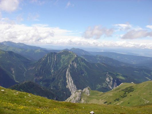 Obraz