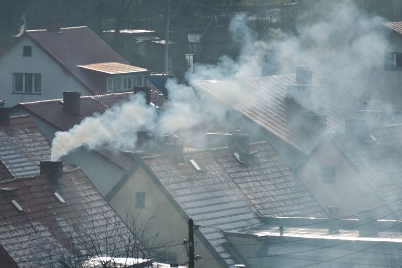 Miliardy złotych na ochronę powietrza. Polska ma plan