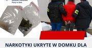Kłodawa: Narkotyki w domku dla kota. Zarzuty dla 50-latki