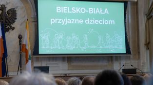 Bielsko-Biała: Co się sprawdza, a co wymaga poprawy w mieście