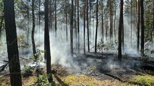 Pożar lasu na Choszczówce. Trwa akcja gaśnicza