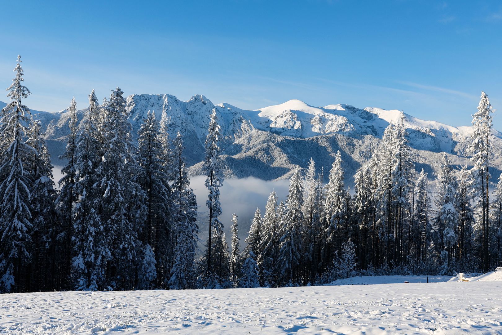 Zakopane, 23.04.2024. Widok o poranku z Gubałówki na ośnieżone Tatry, 23 bm. Pomimo kalendarzowej wiosny w Tatrach nadal można podziwiać zimową aurę. (aldg) PAP/Grzegorz Momot
