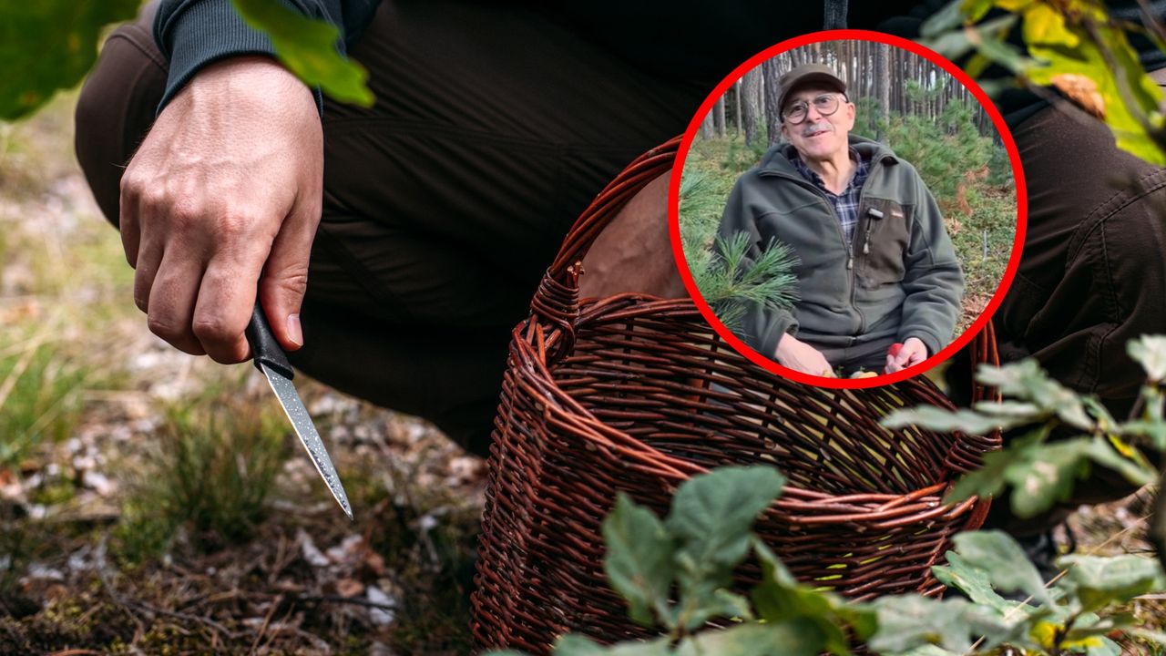 Leśnik ruszył na grzyby. Nie ma dobrych wieści