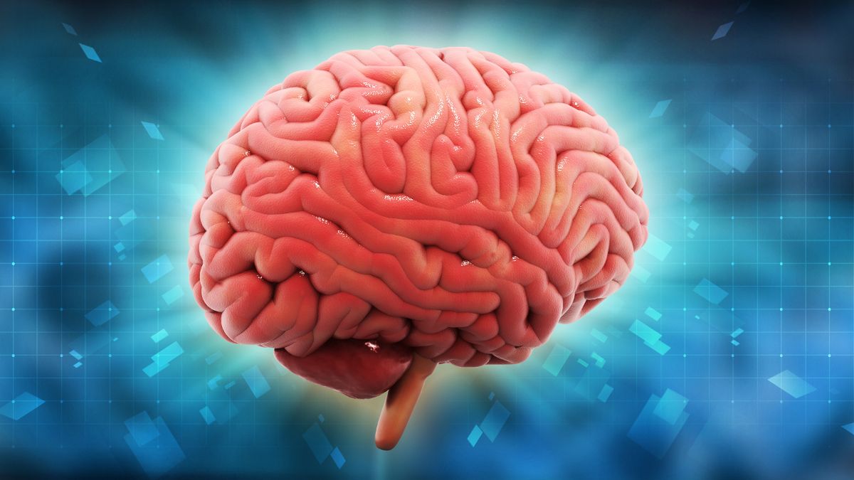 Śmierć mózgu, czy naprawdę istnieje? Czyli o kontrowersjach w transplantologii