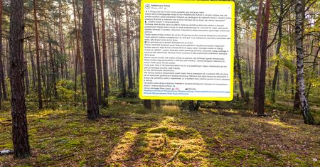 "Szok świetlny". Leśnicy instruują. Nigdy tak nie rób