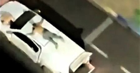 Zdjęcia z napadu na bank obiegły świat. "Myślałem tylko o tym, że umrę"