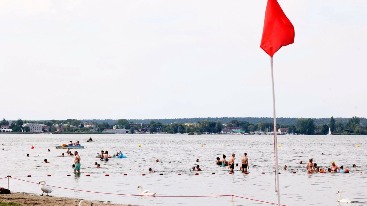 Sinice w Zalewie Zegrzy?skim
Fot. Wojciech Olkusnik/East News, Zalew Zegrzynski, 22.07.2024. Wakacyjny wypoczynek nad Zegrzem jest utrudniony. W poludniowej czesci jeziora zakwitly sinice. Legionowski sanepid tymczasowo zakaza? kapieli na dwoch k?pieliskach. mimo to nie brakuje kapiacych sie.
N/z: czerwona flaga.
Wojciech Olkusnik