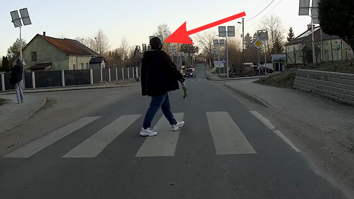 Piesza weszła na pasy bez zachowania odpowiedniej ostrożności.