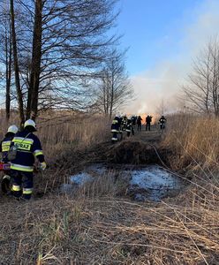 Pożar w Biebrzańskim Parku Narodowym. Reporter WP: pożarem objęte 6000 hektarów