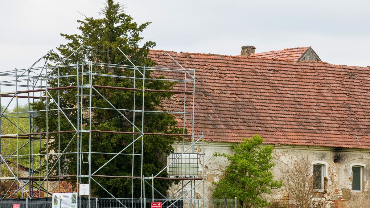 To najstarsze drzewo w Polsce liczy sobie mocno ponad 1300 lat! 