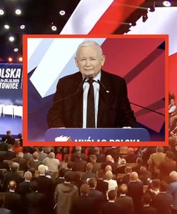 W sondażu propozycja PiS odrzucona. 100 tysięcy nie zmobilizuje Polaków do powiększenia rodziny