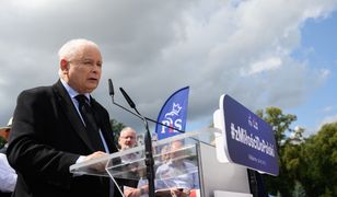Rewolucyjny program PiS-u. Kaczyński uchylił rąbka tajemnicy