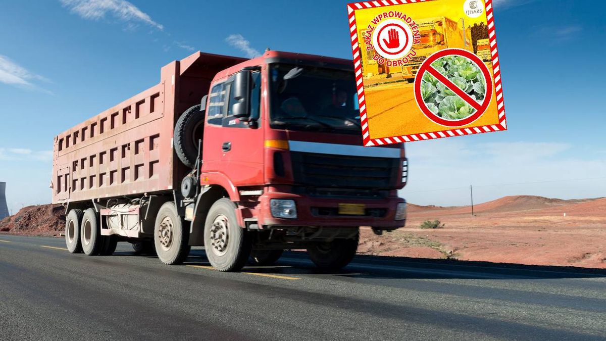 Kapusta zatrzymana przez polskie służby