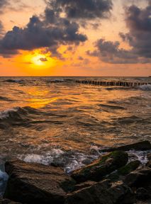 The Black Sea waters will be repopulated with laboratory-grown algae for the ecological reconstruction of the coastline