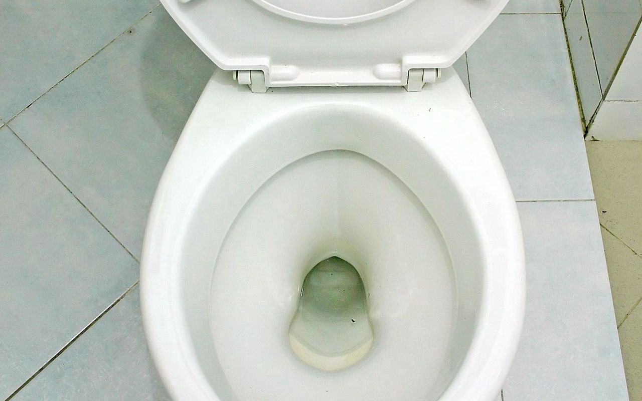 Pour half a cup into the toilet. After a moment it will be like new