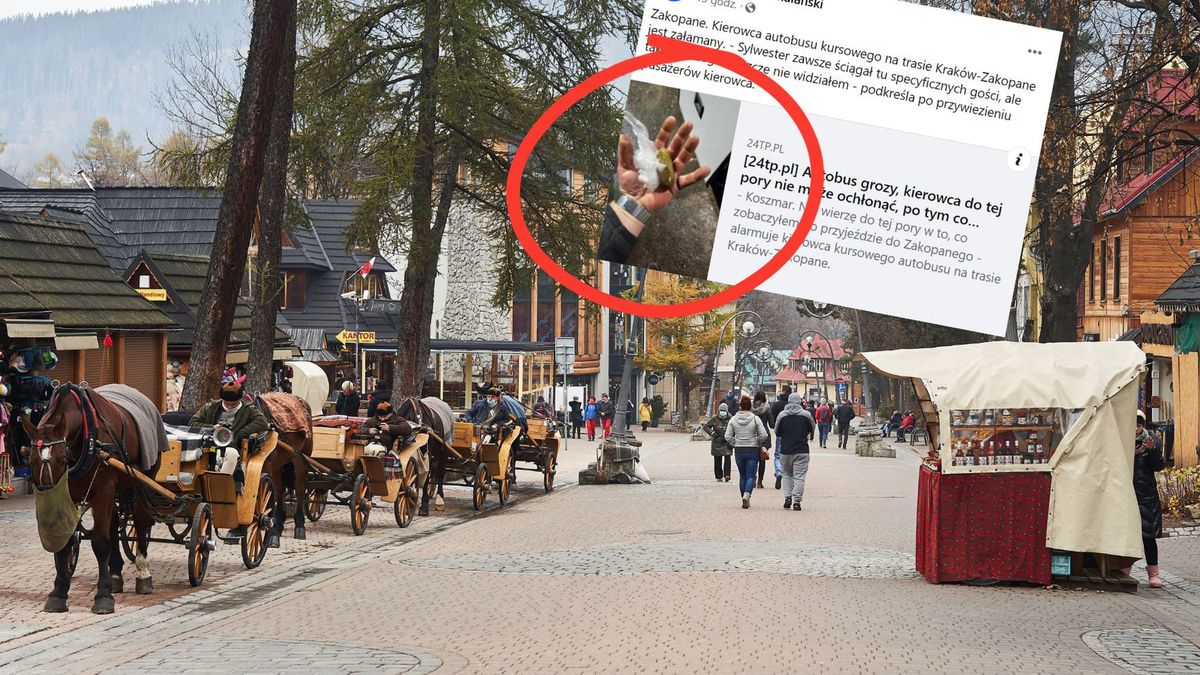 Kierowca autokaru pokazał zdjęcia. Tego nie spodziewał się po turystach w Zakopanem