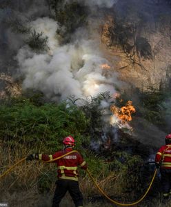 Tragiczne pożary w Europie. Para nie zdążyła uciec przed ogniem