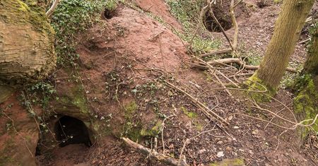 Anglia: przez króliczą norę do niesamowitych, podziemnych komnat