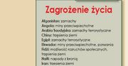 Jaki spędzić wakacje i ujść z życiem?