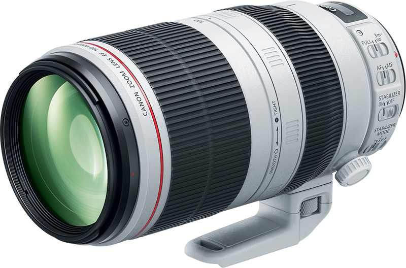 Canon EF 100-400mm F4.5-5.6L IS II USM