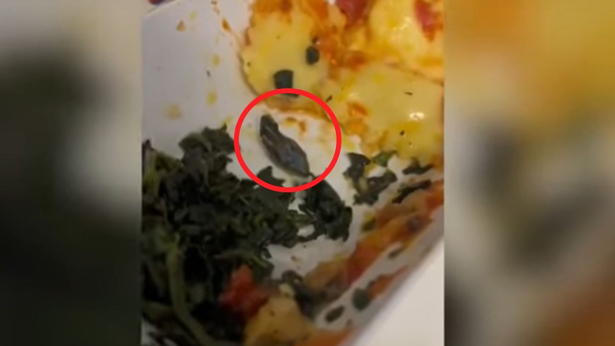 Obrzydliwe znalezisko w samolotowym jedzeniu