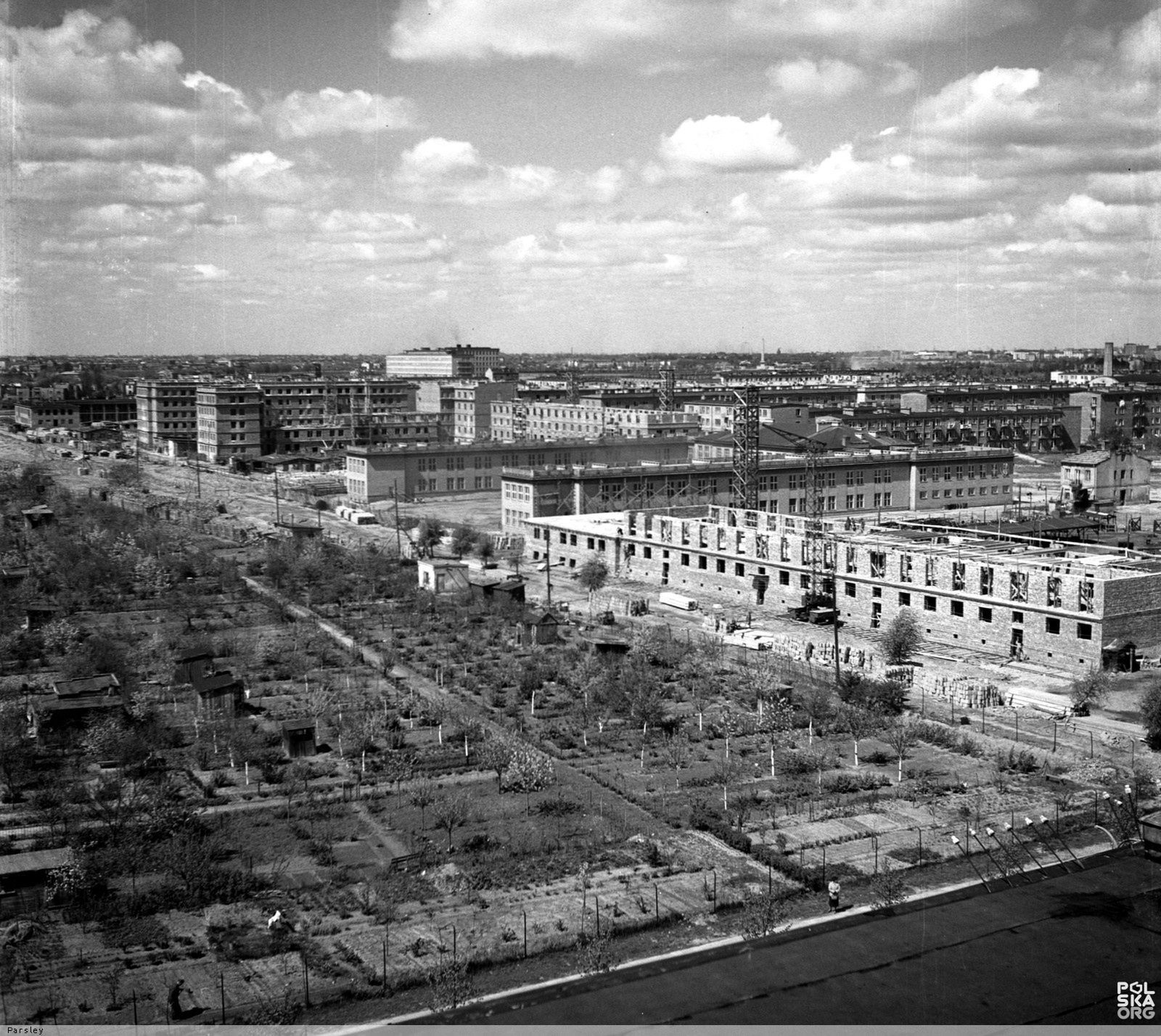 Działki przetrwały wojnę. Dzięki nim wielu warszawiaków miało co jeść. Ale bywały też polem walk. Do dziś historia daje znać o sobie, jak ostatnio, kiedy podczas prac ziemnych znaleziony został granat