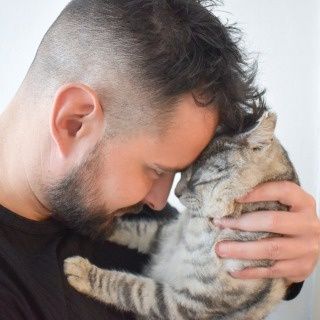 Czy koty potrafią kochać?