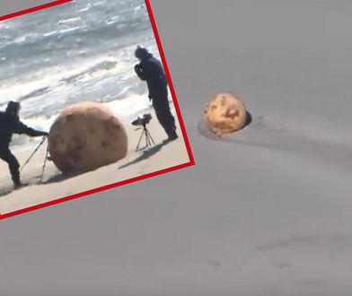 Tajemnicza kula na plaży. Na miejsce wezwano wojsko