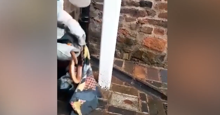 Wąż w rurze odpływowej w samym centrum miasta. Właściciel natychmiast wezwał służby