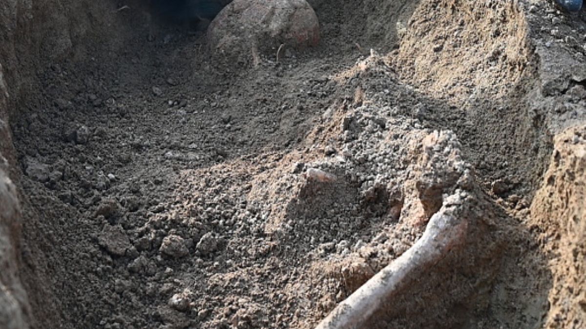 Zdjęcie ilustracyjne