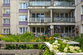 Przepisy na osiedlach są jasne. Te rośliny są zakazane