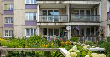 Przepisy na osiedlach są jasne. Te rośliny są zakazane