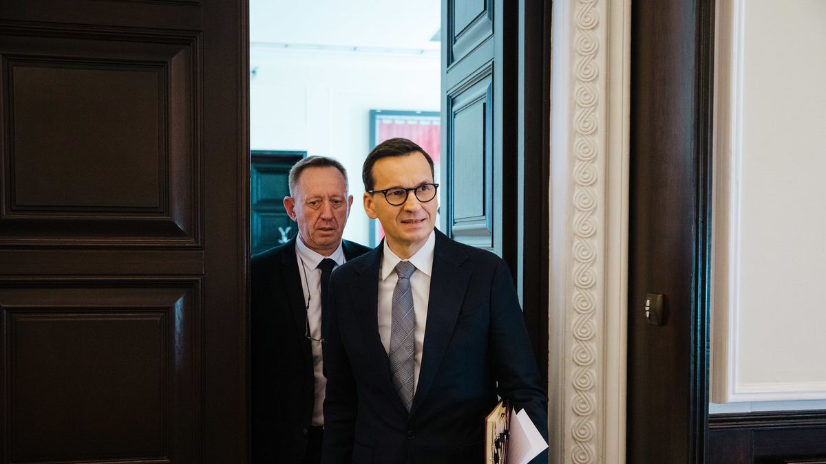 Zamieszanie ze zbożem. Eksperci uspokajają, nasze bezpieczeństwo żywnościowe nie jest zagrożone