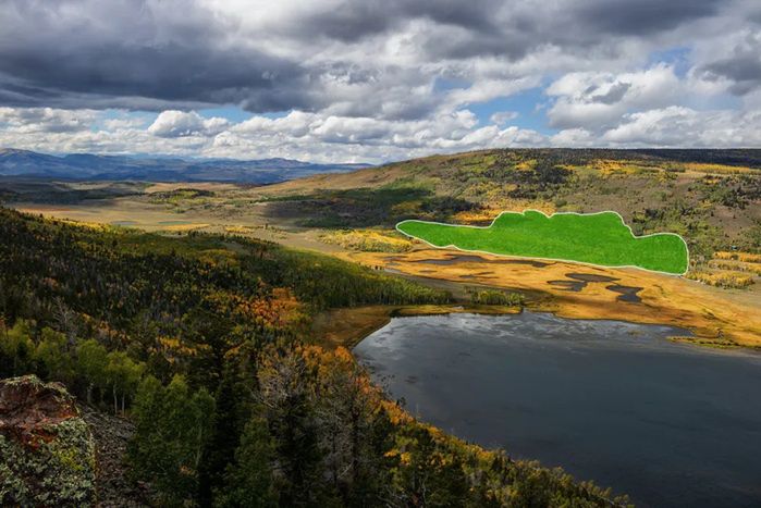 A bird's eye view of the Pando, with Fish Lake in the foreground