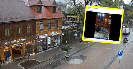 Krąży nagranie z Zakopanego. Niecodzienny widok. "Są groźne"