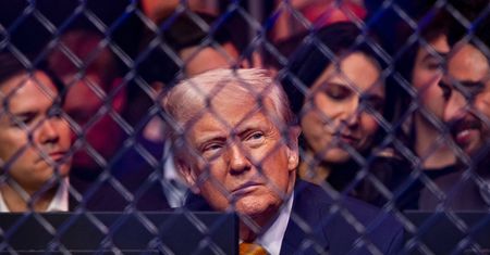 Harvard pod ostrzałem Trumpa. "To kpina"
