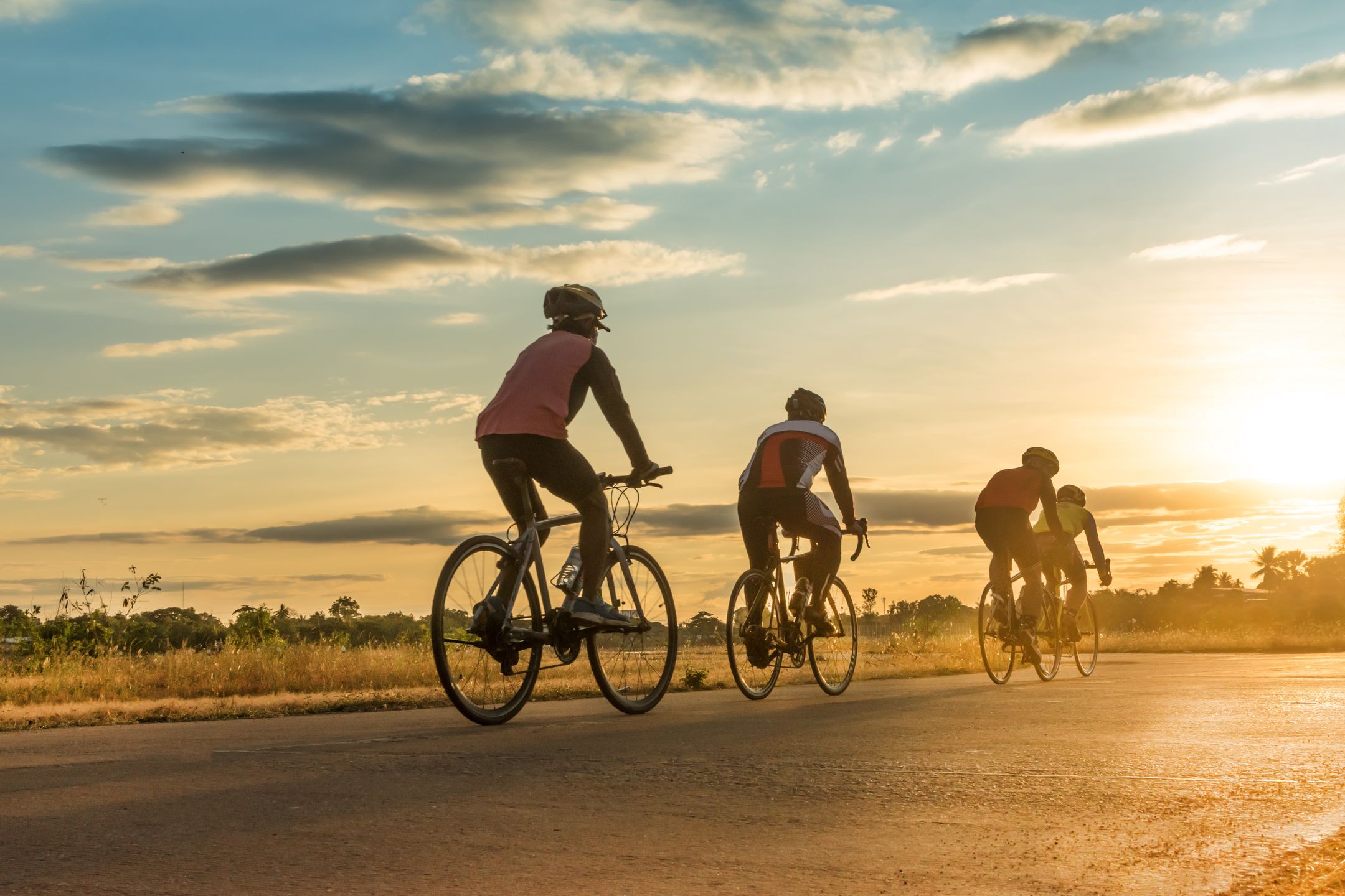 Group of  men ride  bicycles at sunset with sunbeam over silhouette trees background.
bicycle, sunset, sport, man, bike, cyclist, ride, nature, cycle,
