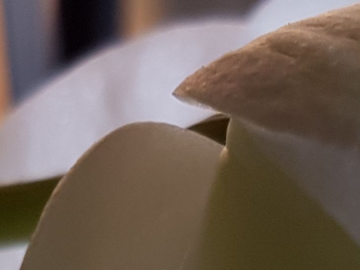 Samsung Galaxy S7 - przykładowe zdjęcia i szybkie porównanie z Galaxy S6 24