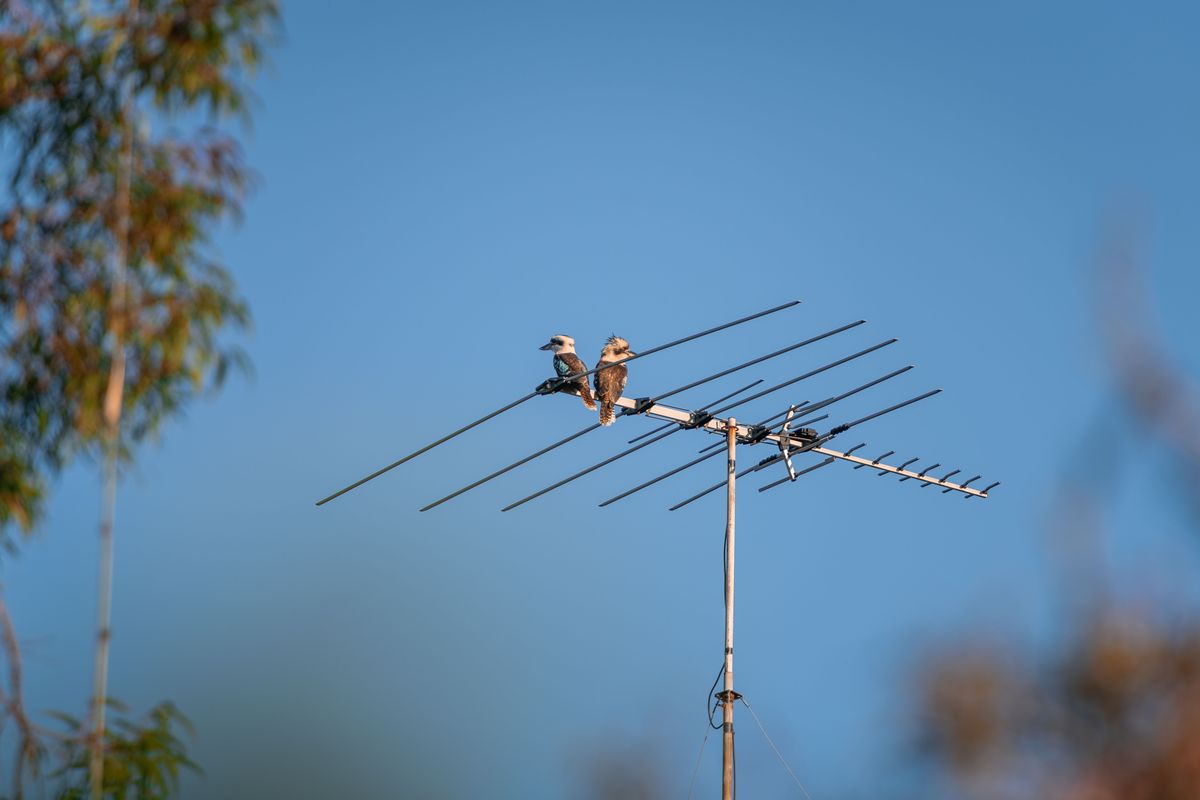 Nowa stacja w telewizji naziemnej? KRRiT ogłosi konkurs