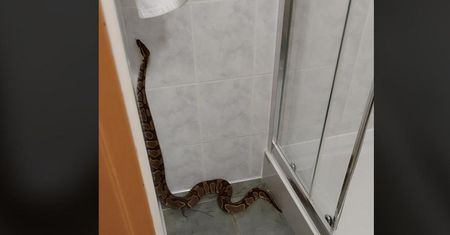 Poznań. Otworzyli drzwi do hotelowej toalety, a tam...
