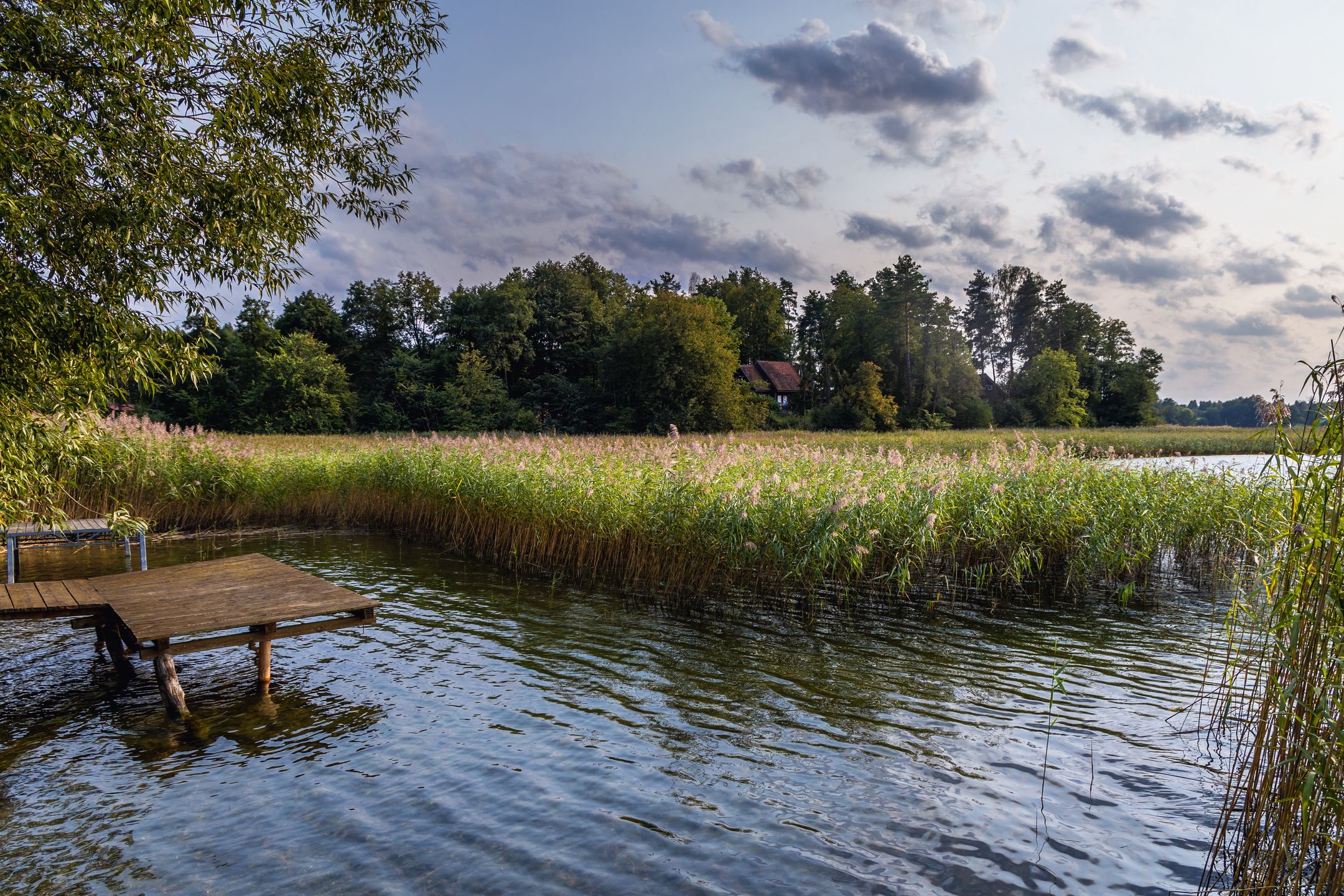 Shore of the Narie lake of Ilawa Lake District in Kretowiny, small village in Warmia Mazury region of Poland
Konrad Zelazowski
Narie, lake, Poland, pier, wooden, Polish, bridge, jetty, water, Kretowiny, reed, rushes, green, plants, Ostroda County, Ilawa Lake District, Gmina Morag, shore, coastline, coast, green, Morag, district, Ilawa Lakeland, lakeland, Warmian, Masurian, Warmia, Mazury, Voivodeship, Masuria, Province, landscape, scenic, scenery, scene, natural, park, water, day, summer, travel, wood, narie, lake, poland, pier, wooden, polish, bridge, jetty, water, kretowiny, reed, rushes, green, plants, ostroda county, ilawa lake district, gmina morag, shore, coastline, coast, morag, district, ilawa lakeland, lakeland, warmian, masurian, warmia, mazury, voivodeship, masuria, province, landscape, scenic, scenery, scene, natural, park, day, summer, travel, wood