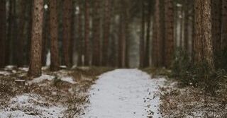 Wskazówki dotyczące przygotowywania najlepszego jedzenia na biwak