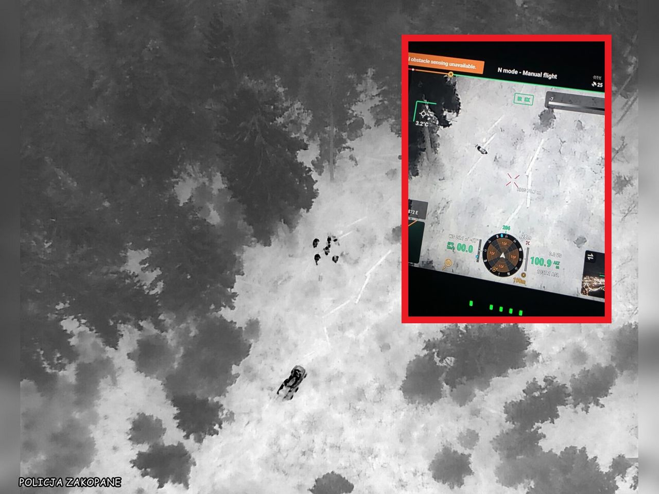 Grzybiarz zgubił się na Gubałówce. Dramatyczny finał poszukiwań