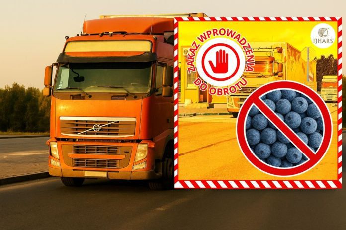 Lublin: Jagody z Ukrainy zatrzymane. 20 ton zanieczyszczonych owoców nie wjechało do Polski