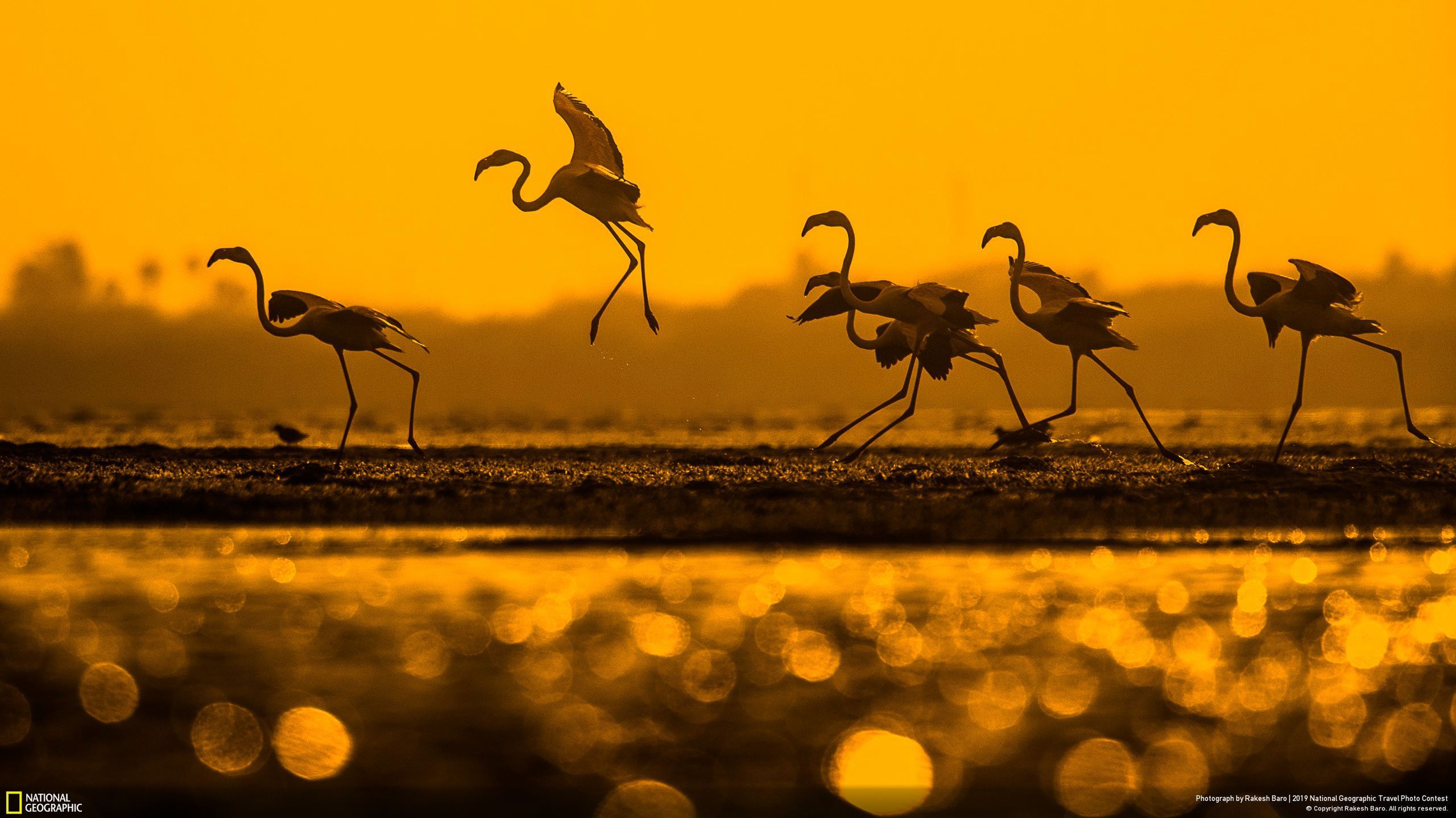 Niesamowite zdjęcia finalistów National Geographic Travel Contest 2019 6