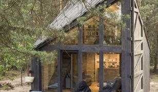 "Bookworm cabin", czyli chatka dla moli książkowych. Zaskakujący projekt pod Warszawą